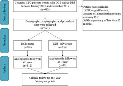 Long-term outcomes of less drug-eluting stents by the use of drug-coated balloons in de novo coronary chronic total occlusion intervention: A multicenter observational study